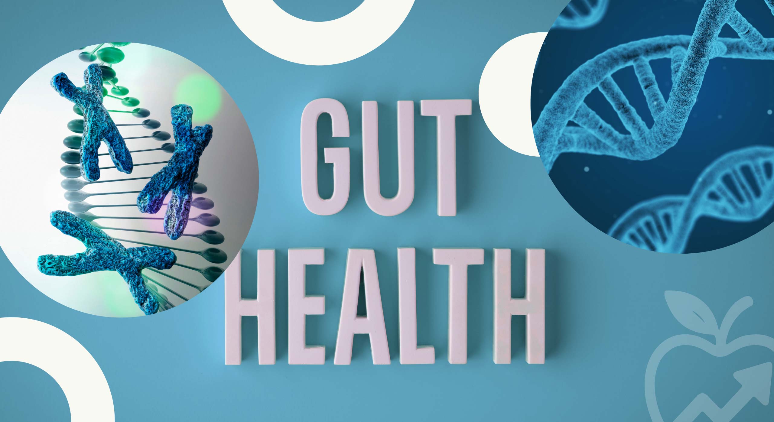 gut health macrobiome